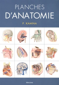 Planches d'anatomie