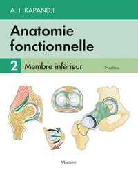 Anatomie fonctionnelle