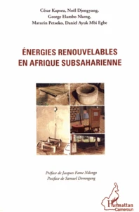 Energies renouvelables en Afrique subsaharienne