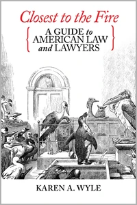 Closest to the Fire: A Guide to American Law and Lawyers