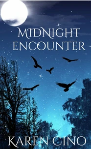 Midnight Encounter