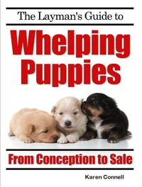 The Layman’s Guide to Whelping Puppies - From Conception to New Home