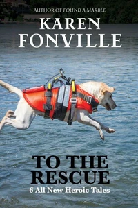 To The Rescue