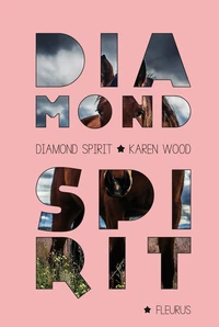 Diamond Spirit Tome 1