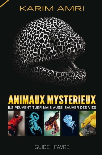 Animaux mystérieux