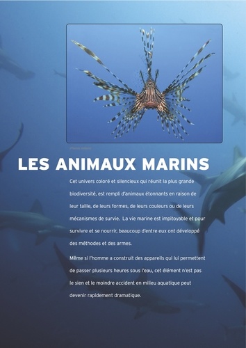 Animaux mystérieux