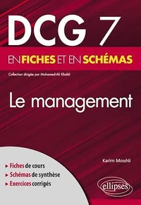 Le management en fiches et en schémas DCG 7