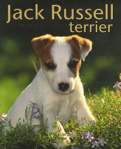 Karin Wegner - Jack Russell terrier.