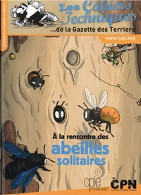 A la rencontre des abeilles solitaires