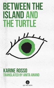 Between the Island and the Turtle