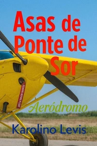 Asas de Ponte de Sor
