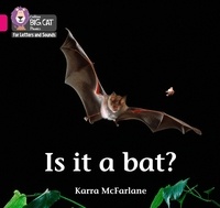 Karra McFarlane - Is it a Bat? - Band 01B/Pink B.