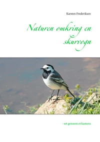 Naturen omkring en skurvogn