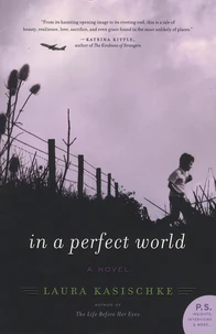 In a Perfect World
