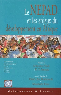 Le Nepad Et Les Enjeux Du Developpement En Afrique