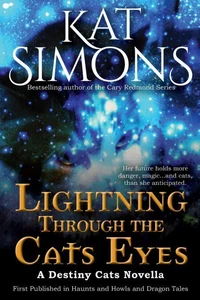 Lightning Through the Cats Eyes