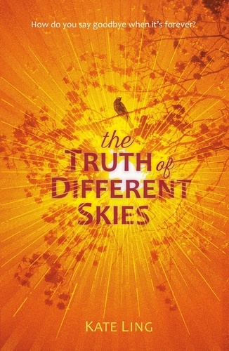 The Truth of Different Skies. Book 3
