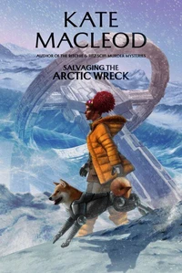 Salvaging the Arctic Wreck