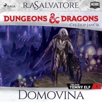 Dungeons &amp; Dragons. Legenda o Drizztovi. Temný elf 1: Domovina