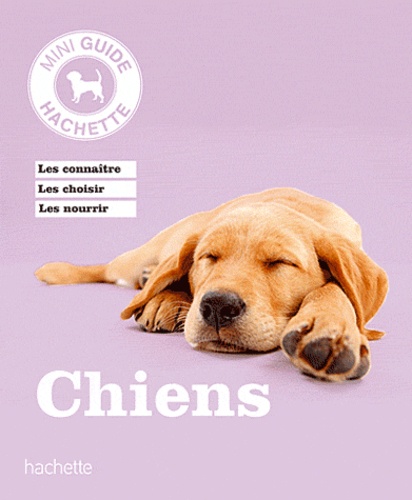 Katharina Schlegl-Kofler - Chiens.