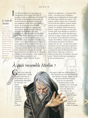 Le livre secret de Merlin