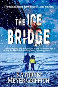  Kathryn Meyer Griffith - The Ice Bridge.