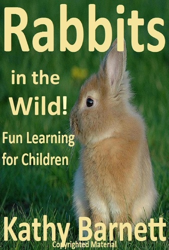  Kathy Barnett - Rabbits  in the Wild!.