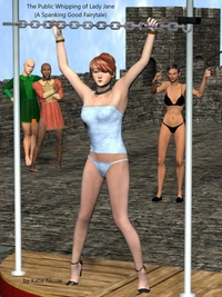 The Public Whipping of Lady Jane A Spanking Good Fairytale
