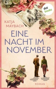 Eine Nacht Im November