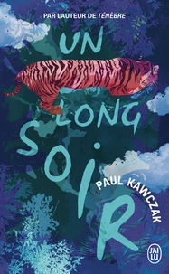 Un long soir