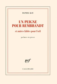 Un peigne pour Rembrandt et autres fables pour l'oeil