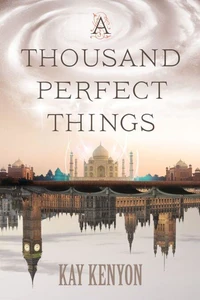 A Thousand Perfect Things