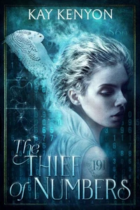 The Thief of Numbers