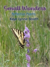  Kaye Lynne Booth - Small Wonders.