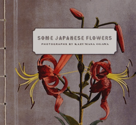Kazumasa Ogawa - Some Japanese Flowers.