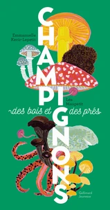 Champignons des bois et des prés