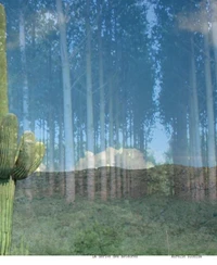 Aurélie Slonina - La Dérive des météores