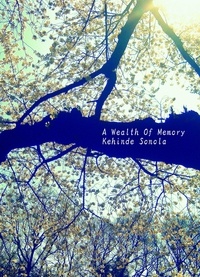  Kehinde Sonola - A Wealth Of Memory.