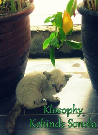 Klosophy: A lifetime of observation &amp; engagement.