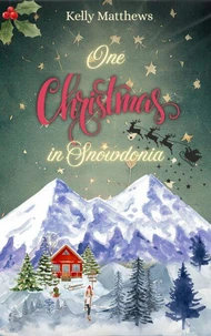 One Christmas in Snowdonia
