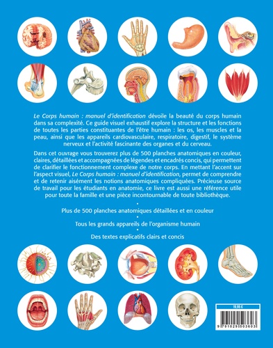 Le corps humain. Manuel d'identification
