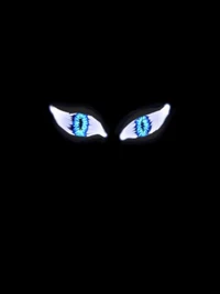 The Light and The Dark