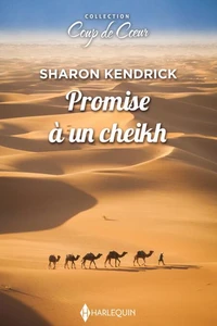 Promise à un cheikh