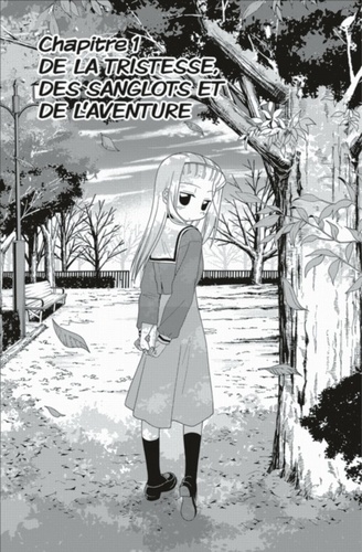 Hayate The Combat Butler Tome 19