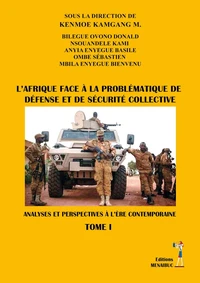 L'Afrique face à la problématique de défense et de sécurité collective