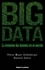 Big Data. La révolution des données est en marche