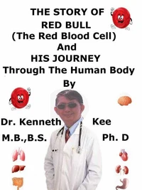 The Story  Of  Red Bull The Red Blood Cell  And  His Journey  Through  The Human Body
