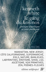 Le gang du Kosmos