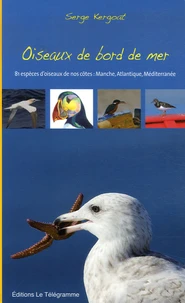 Oiseaux de bord de mer