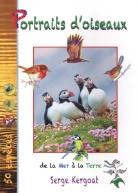 Portraits d'oiseaux